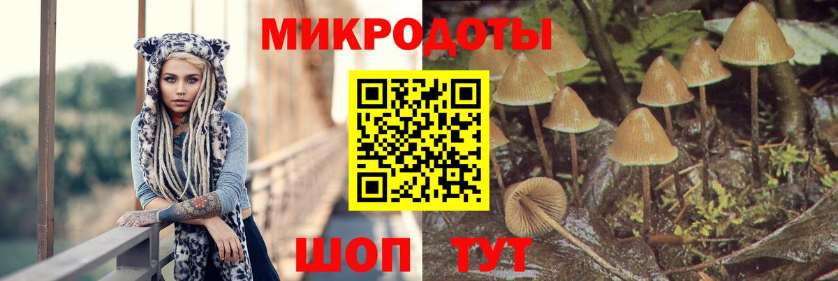 цена наркотик  Вход с VPN  Надым  Псилоцибиновые грибы прущие грибы 